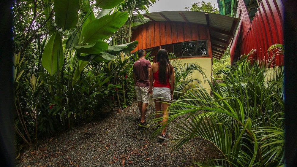 Cabañas del Lago