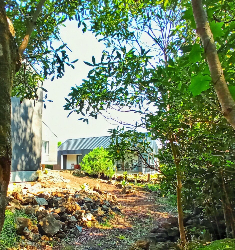Casas do Morgadio - azorean wine & lodge view 4