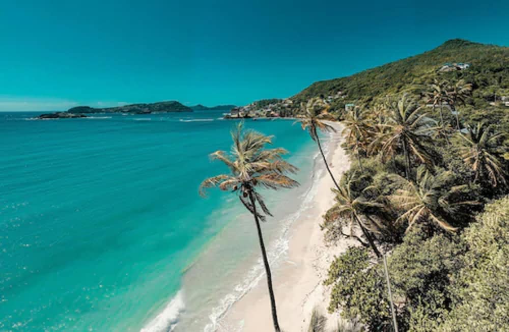 Bequia Beach Hotel Luxury Resort & Spa - Photo 69
