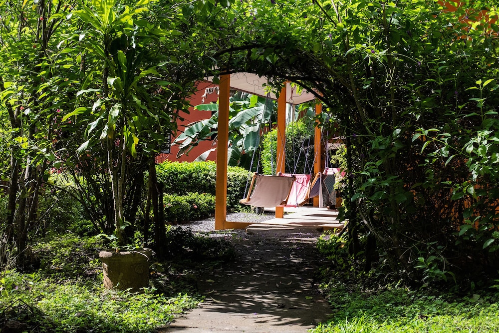 Jungle Lodge at Wild Sun Rescue view 5