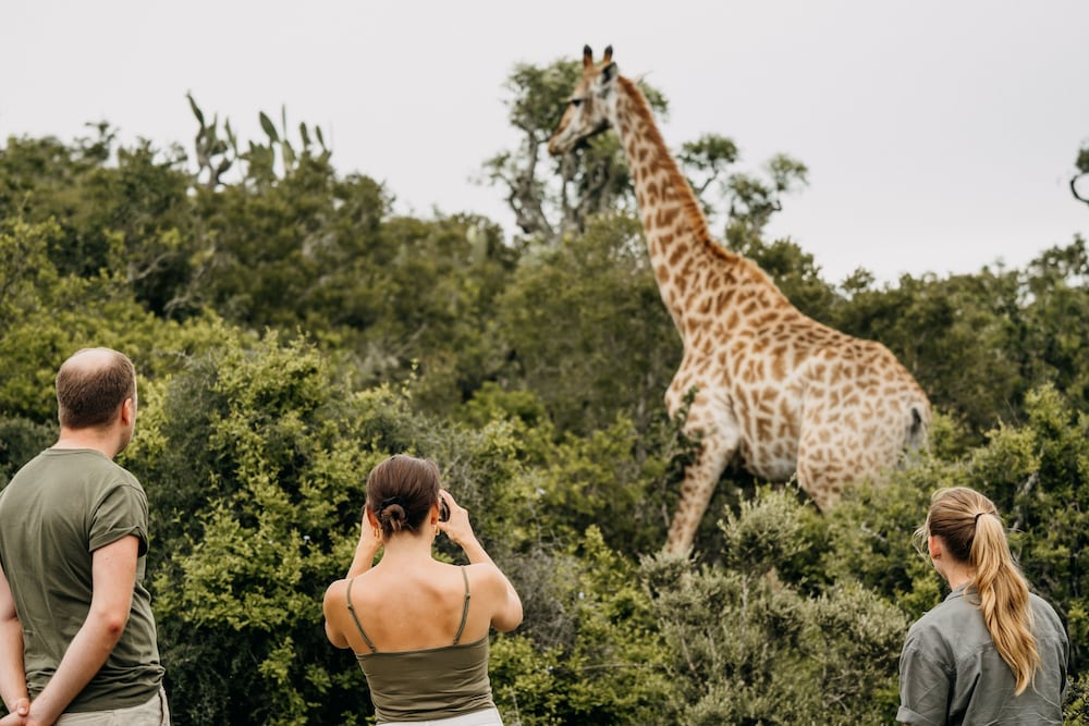 Elephants Lodge - Bellevue Forest Reserve