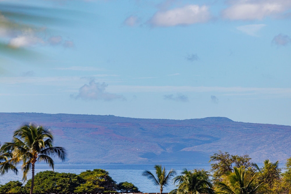 Kihei Beachside Resort Vistas