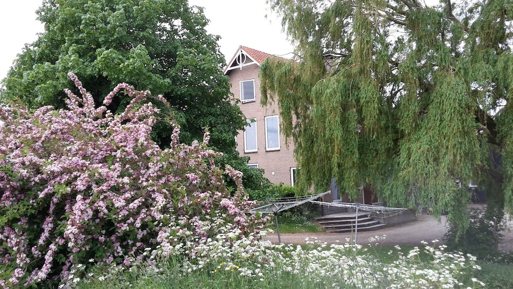 Photo 49