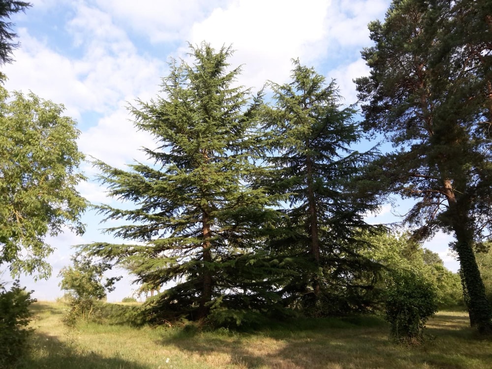 Photo 39