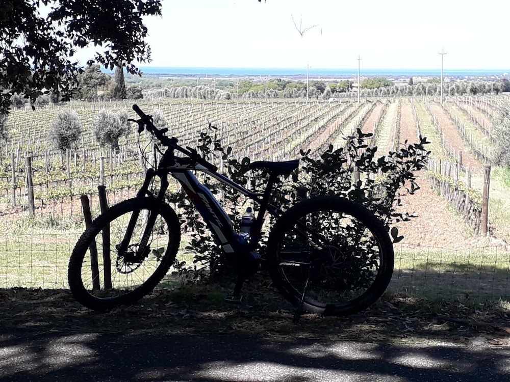 Podere San Filippo