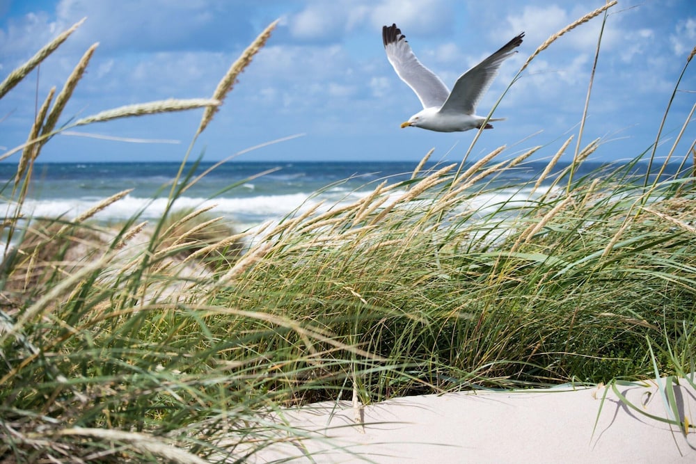 Apartment in Het Zoute Near the Beach