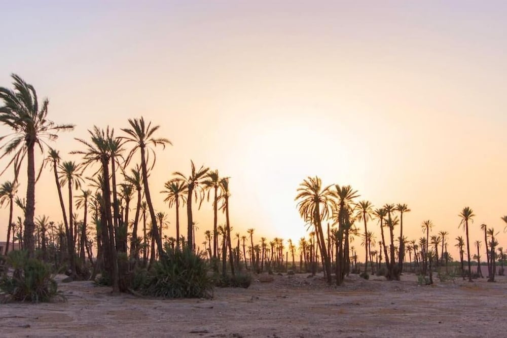 Palmeraie  Appartment With Marrakech