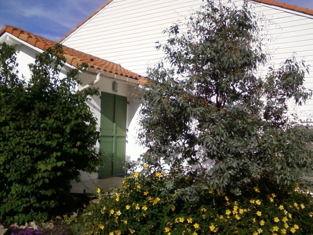 Photo 13