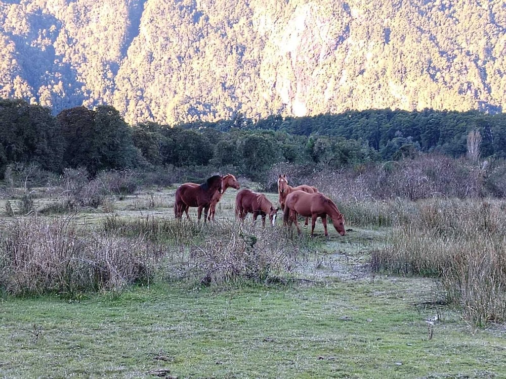 Domo Valle El Encanto Peulla