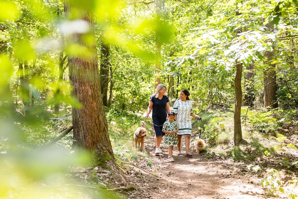 Peaceful Stay Near Trails