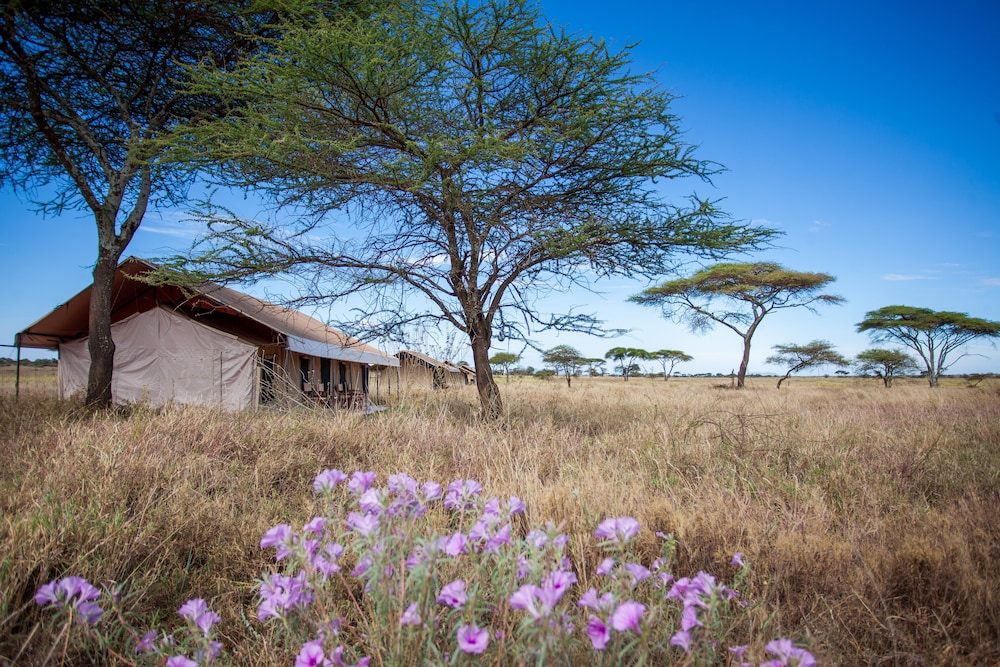 Mawe Luxury Tented Camp