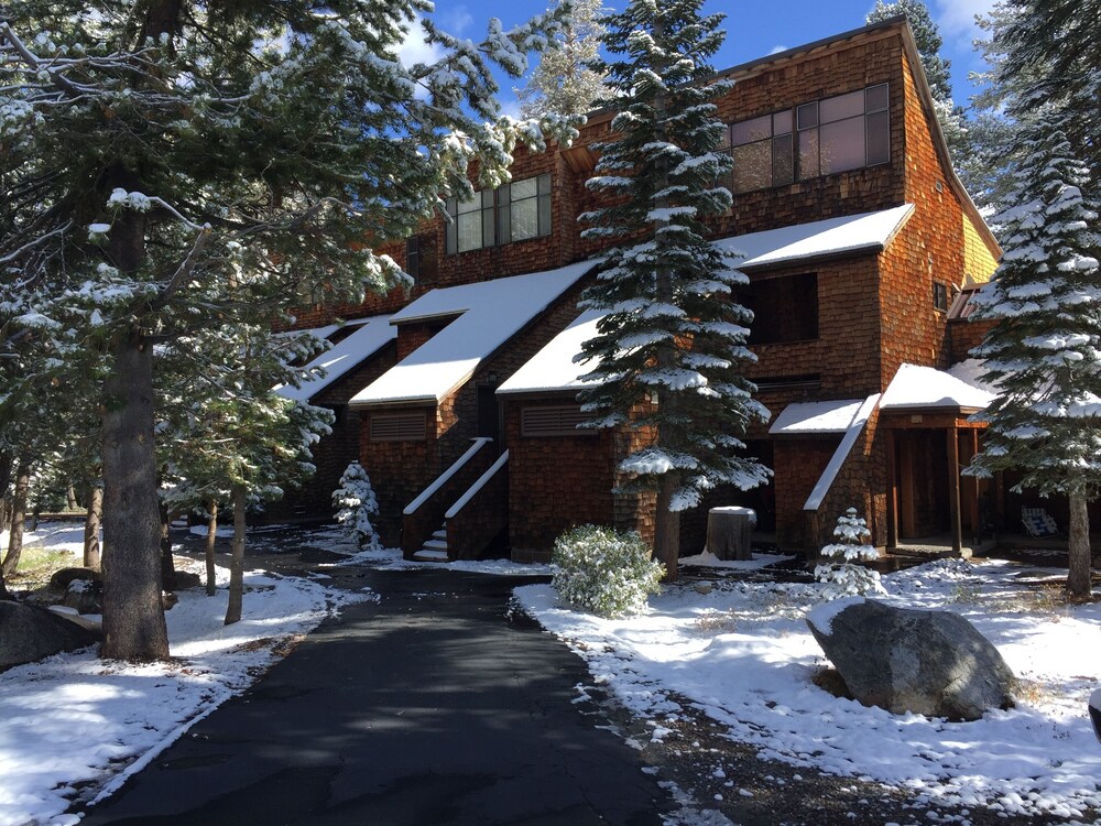 Cozy Condo in the Heart of BV - Condo Bear #104 by Bear Valley Vacation Rentals view 5