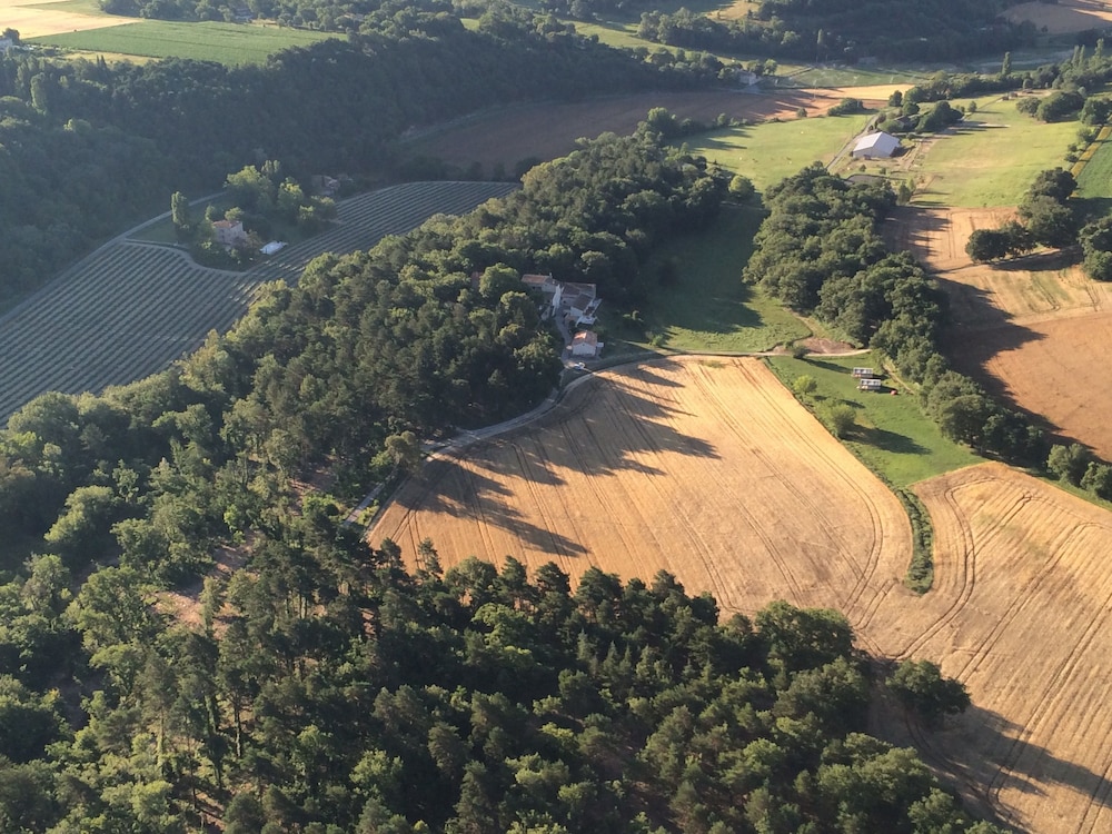 Les Ânes de Forcalquier