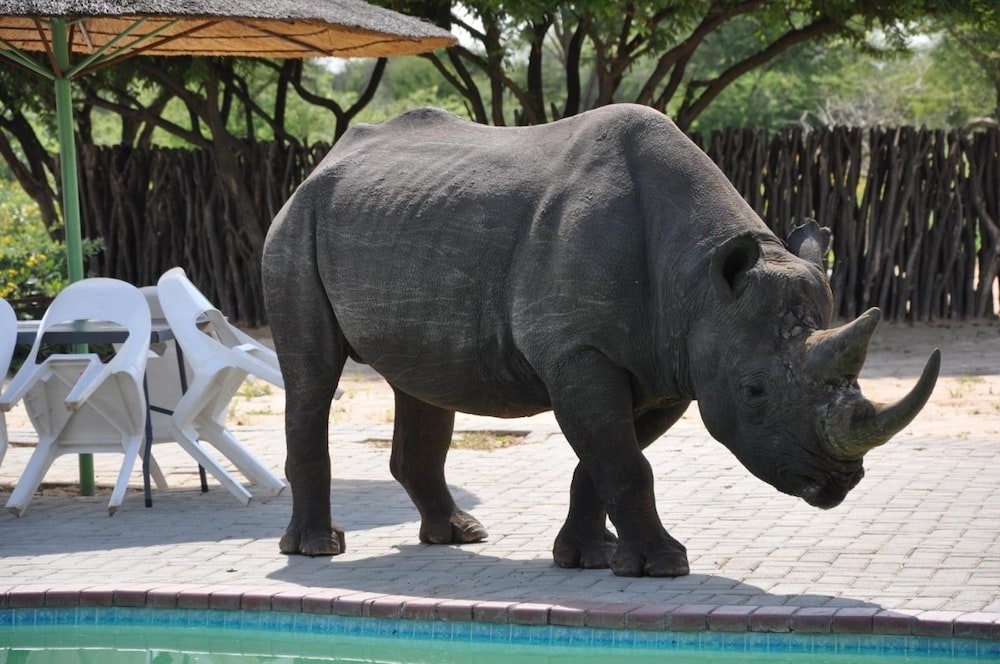 Khama Rhino Sanctuary