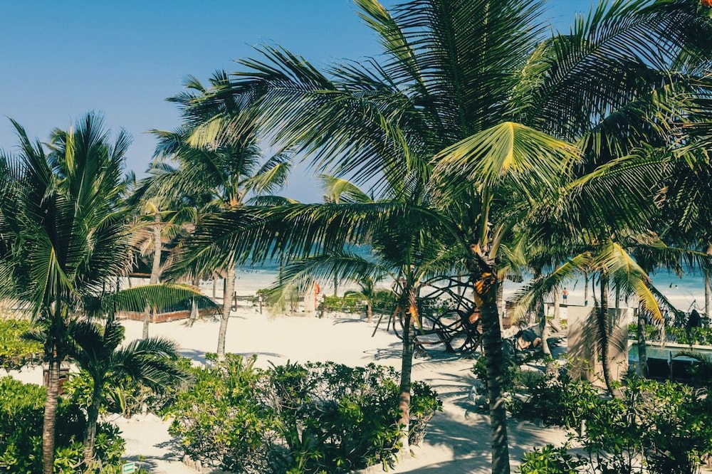 Mía Tulum Tribe