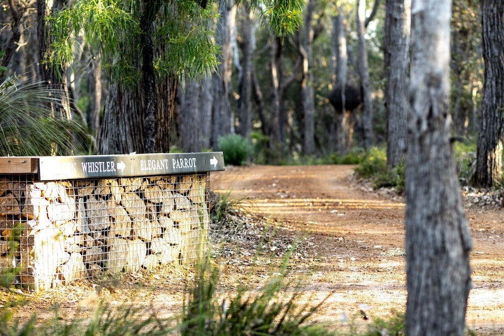 Forest Rise