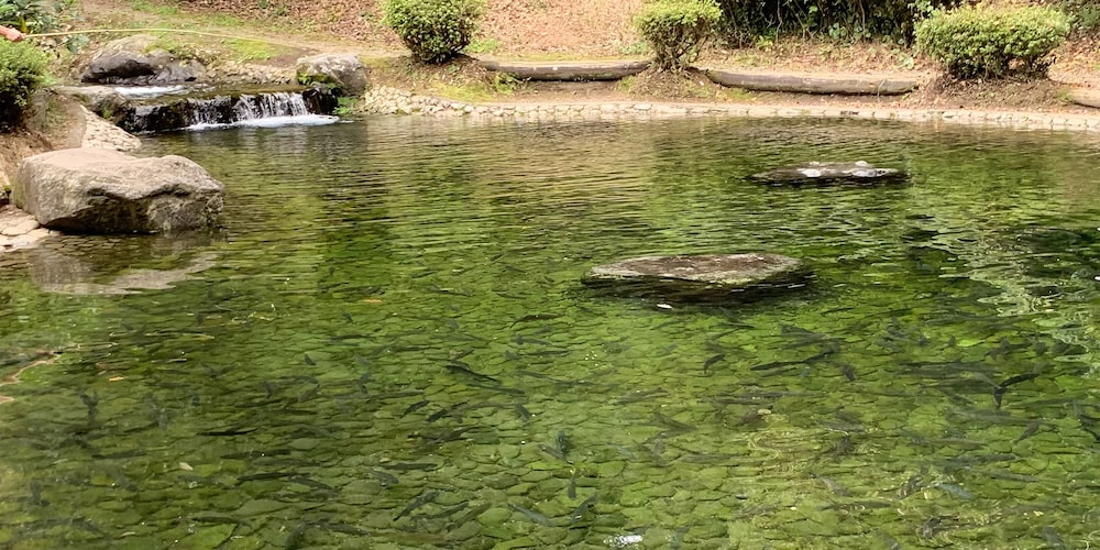 Ojibaru Park