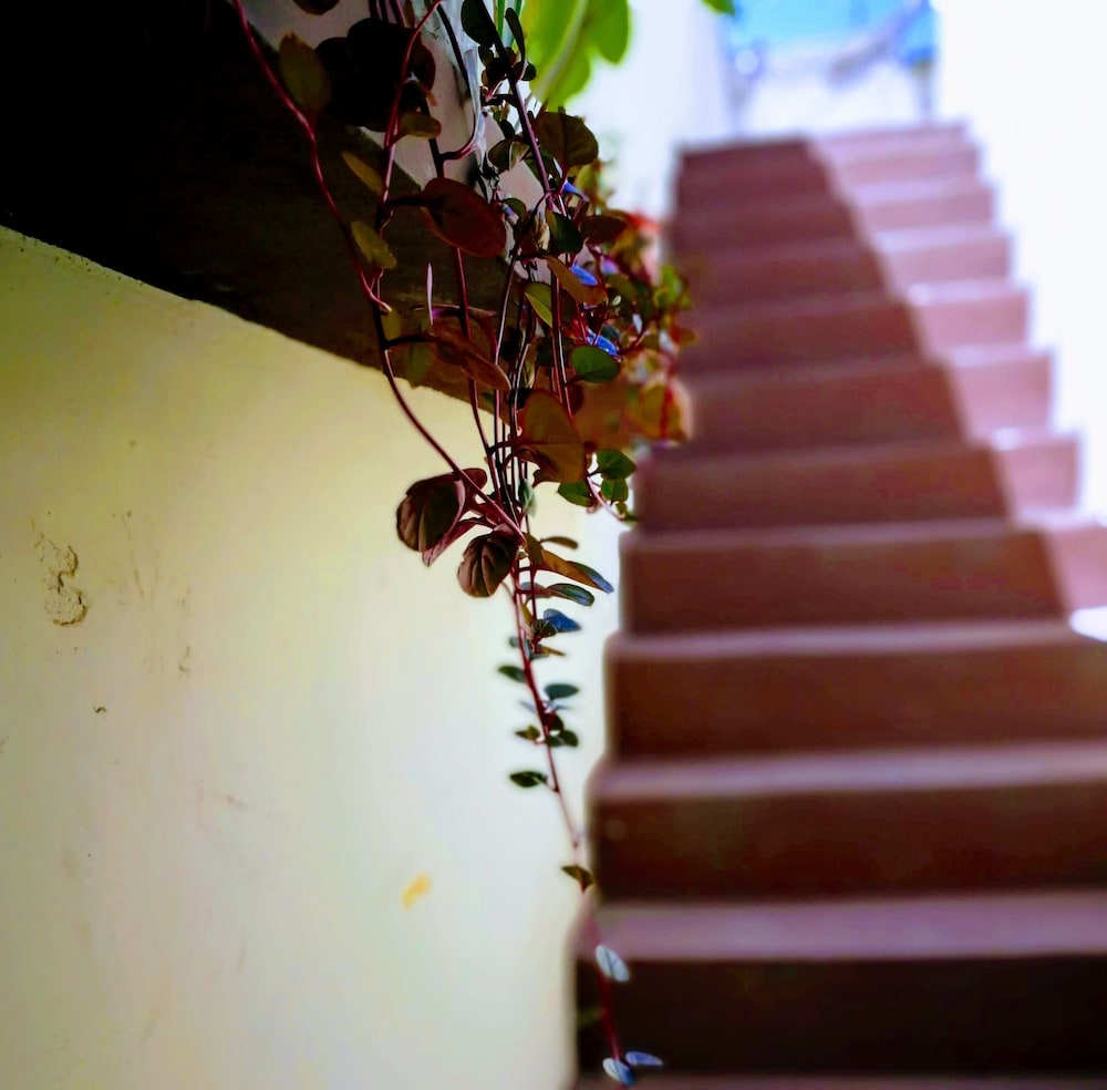 Casa I'X - Hostel, photo 32
