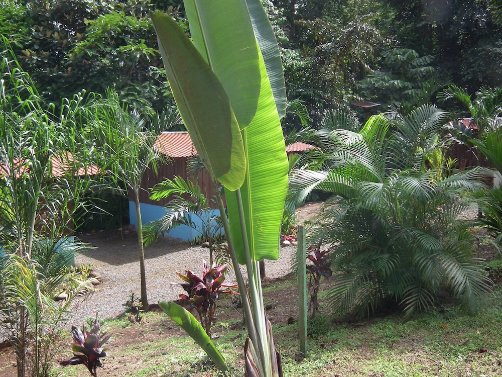 Hotel Valle Azul