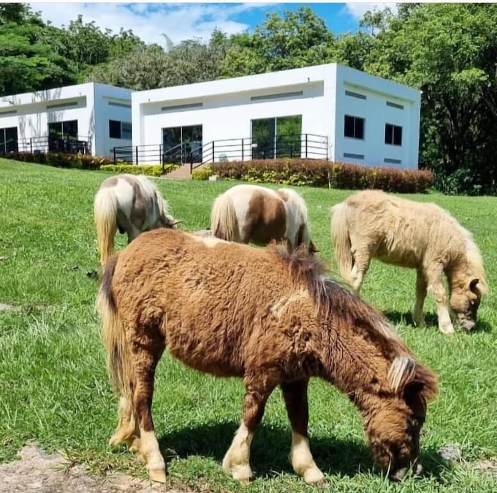 EcoHotel Montenegro