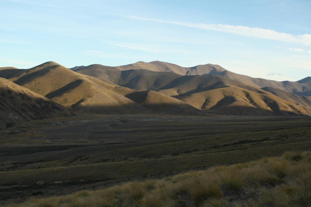 Dunstan Downs High Country Sheep Station