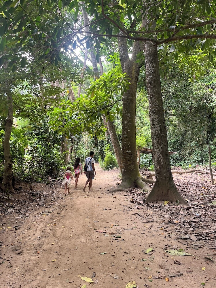 Tree of Life - Hostel