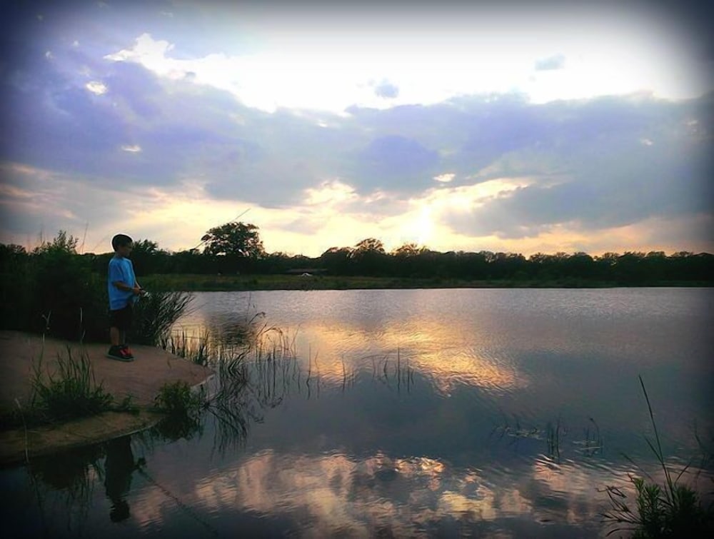 Night Bird Ranch