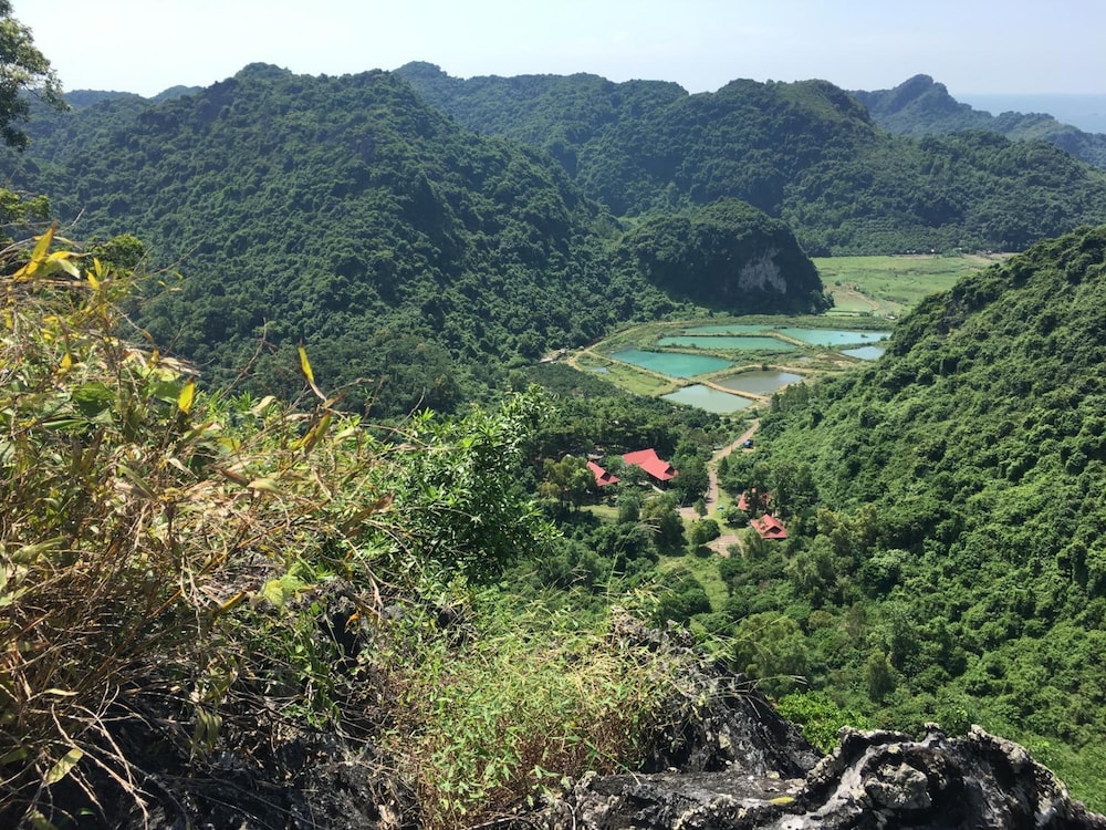 Cat Ba Eco Lodge