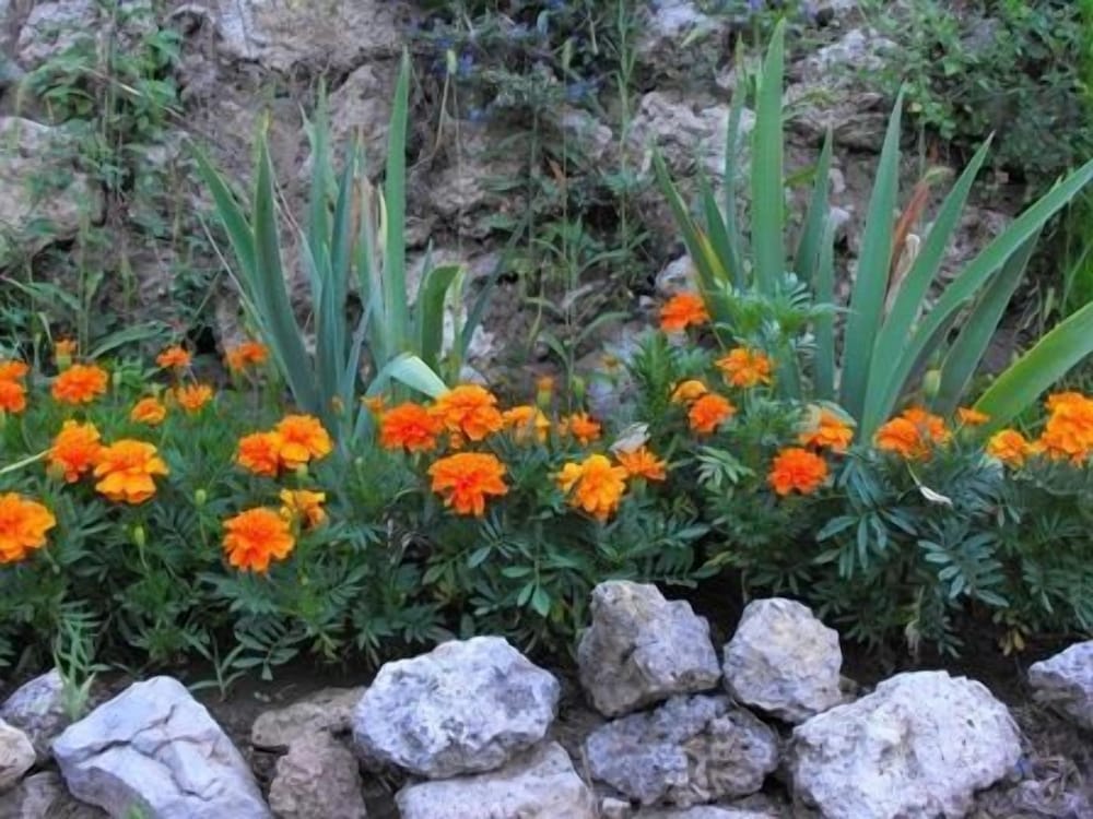 Agriturismo Agrilago view 4