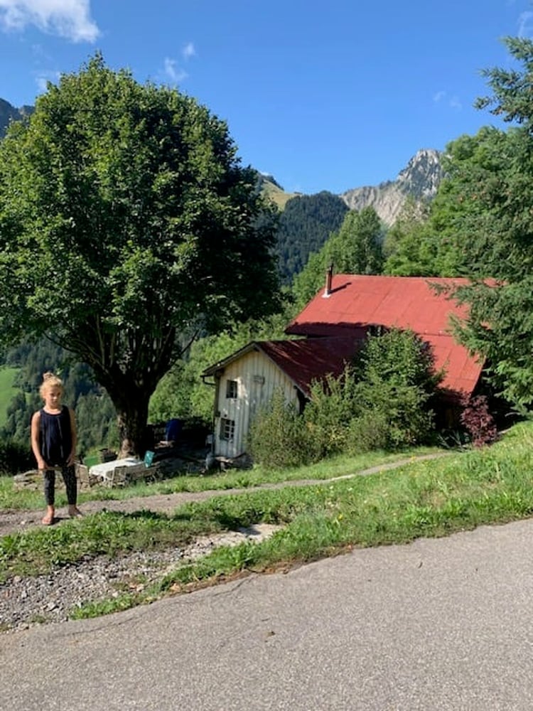 Heidi Chalet Alps - Unique Experience - Authentic Part