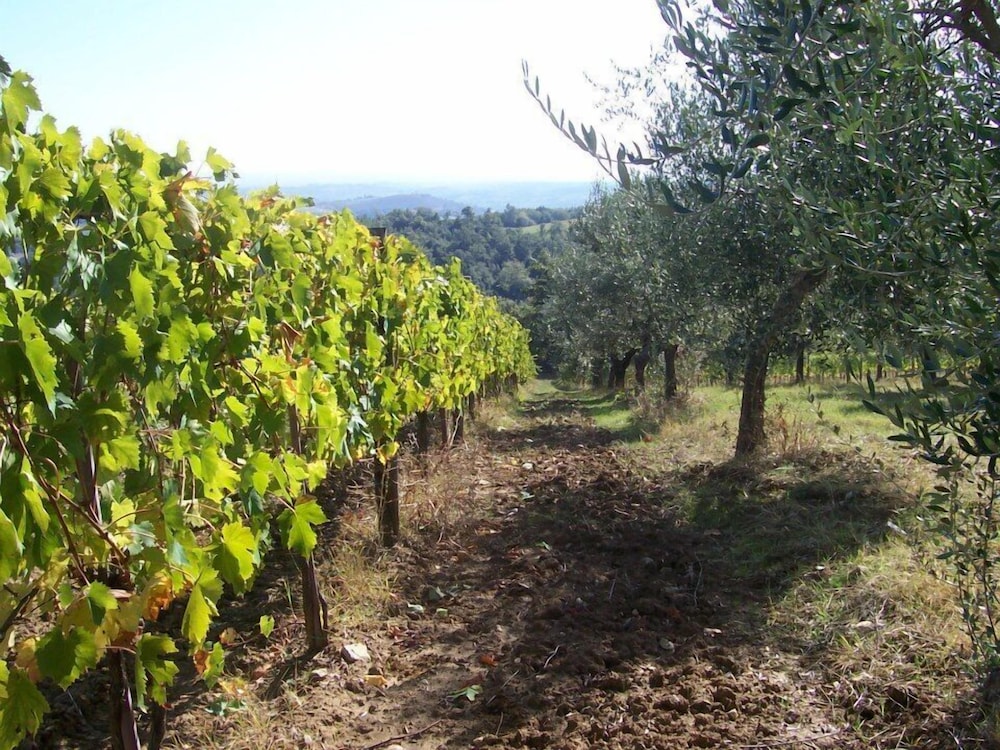 Agriturismo La Vigna