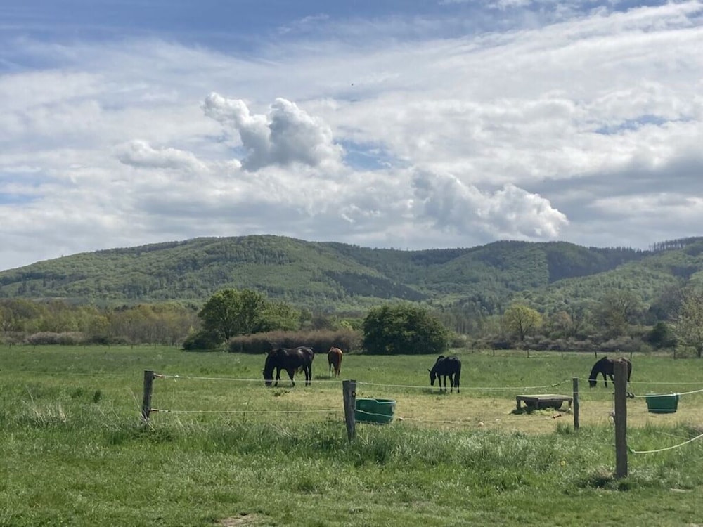 Summit Happiness at the Purple Beech - Property Image 32