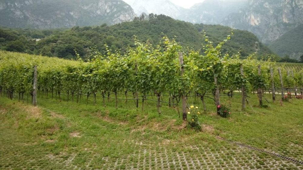 Agriturismo Margone