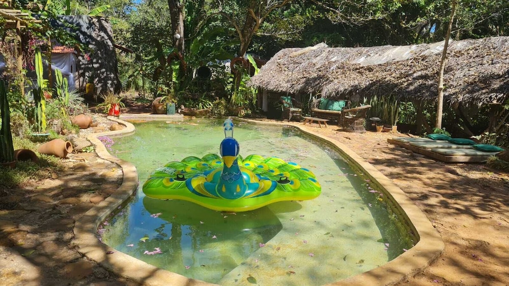 Pousada Pouso das Araras