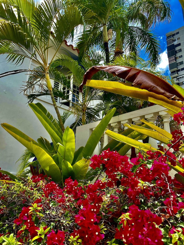 At Wind Chimes Boutique Hotel - Property Image 153