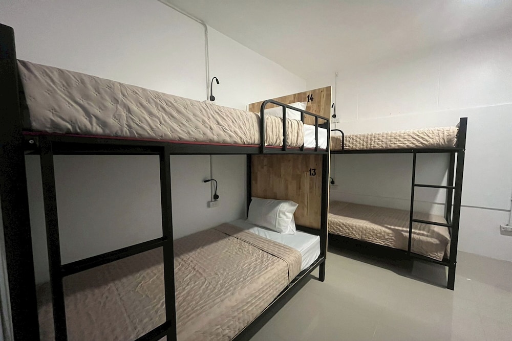 Lazy Lizard Hostel