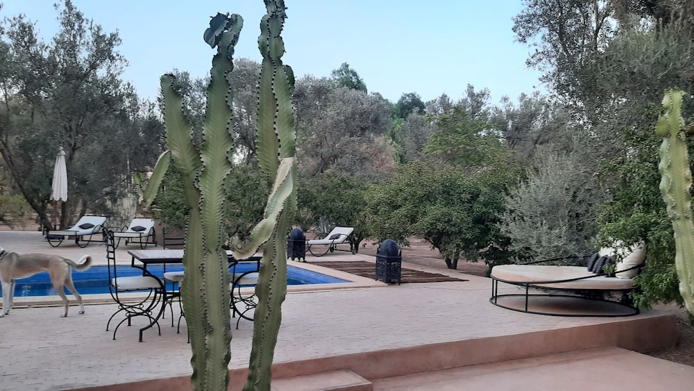 Riad Jardin des Orangers