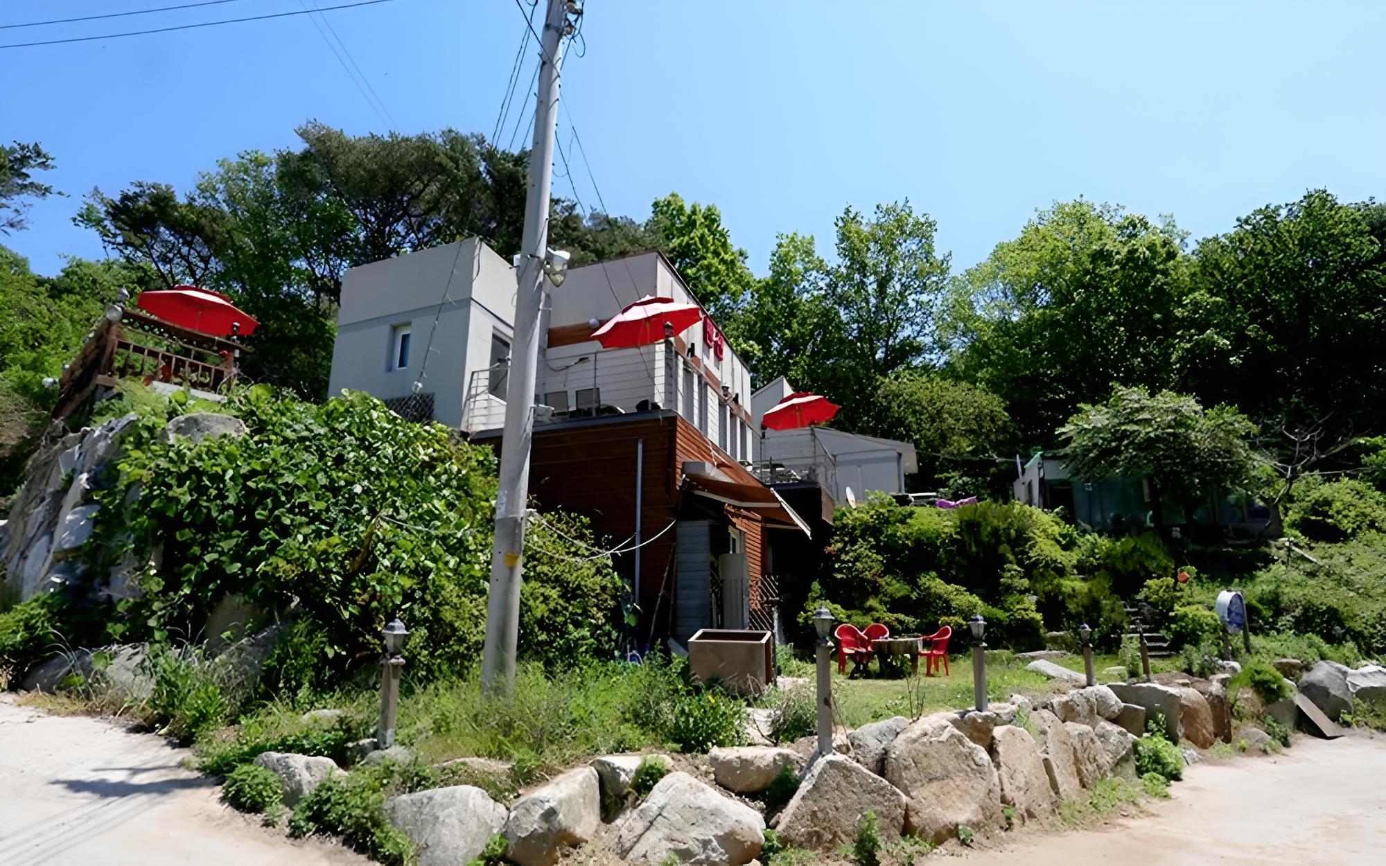 Photo 9
