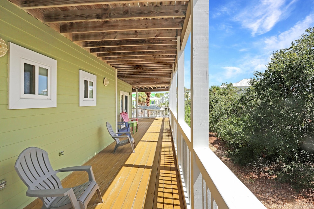 Cape Palms