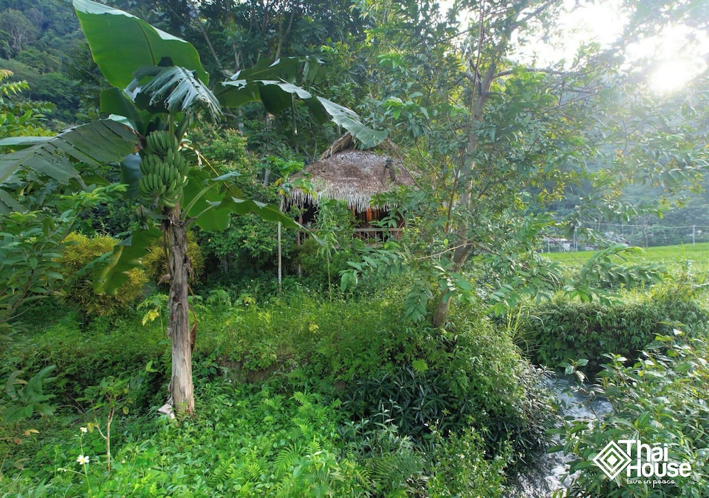 Thai House Pu Luong