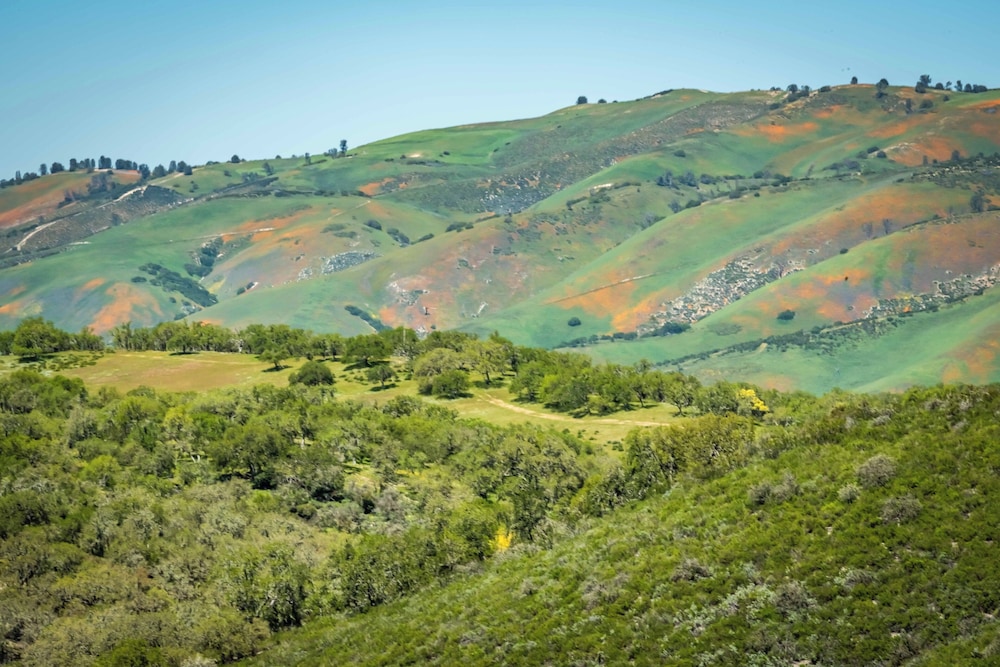 Blue Oak Oasis At Lake Naci