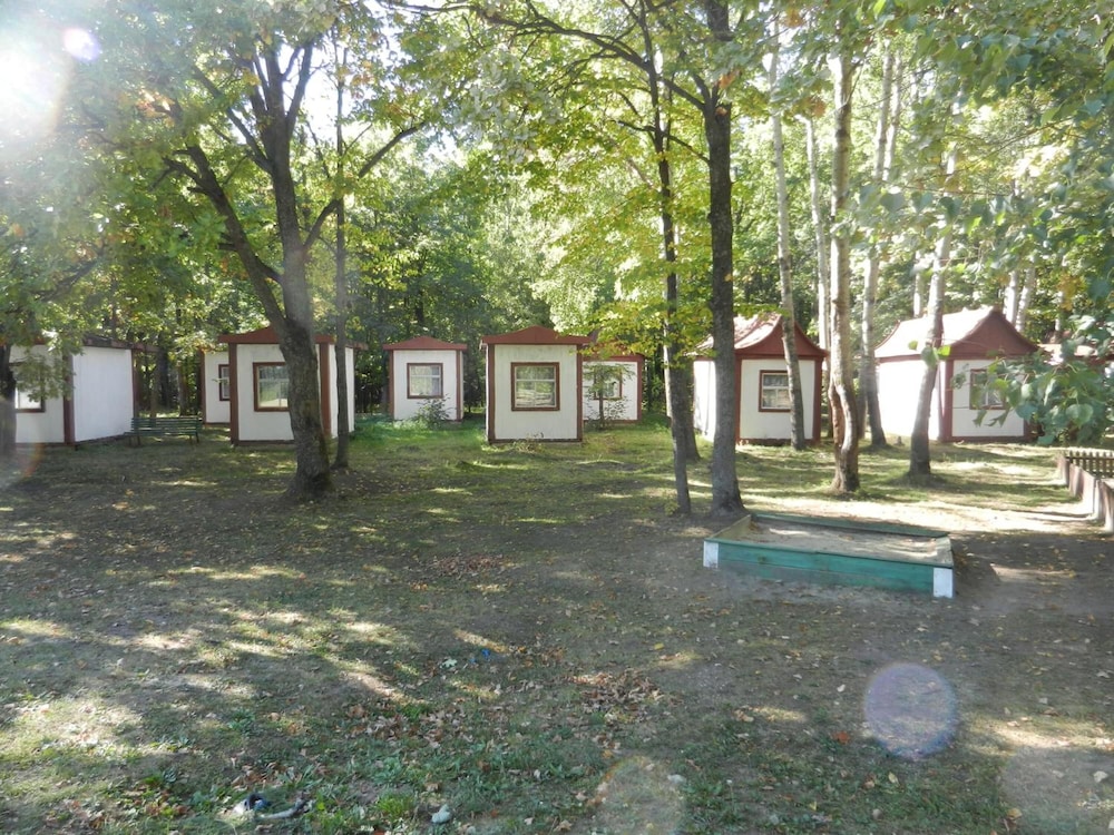 Photo 43