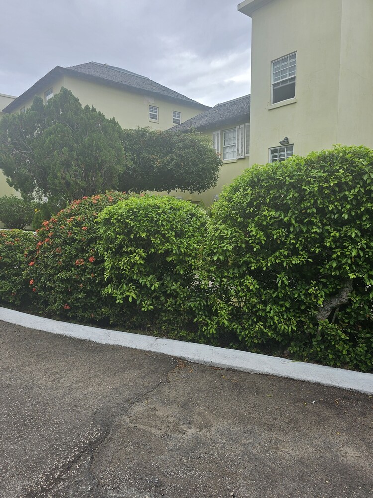 Photo 31