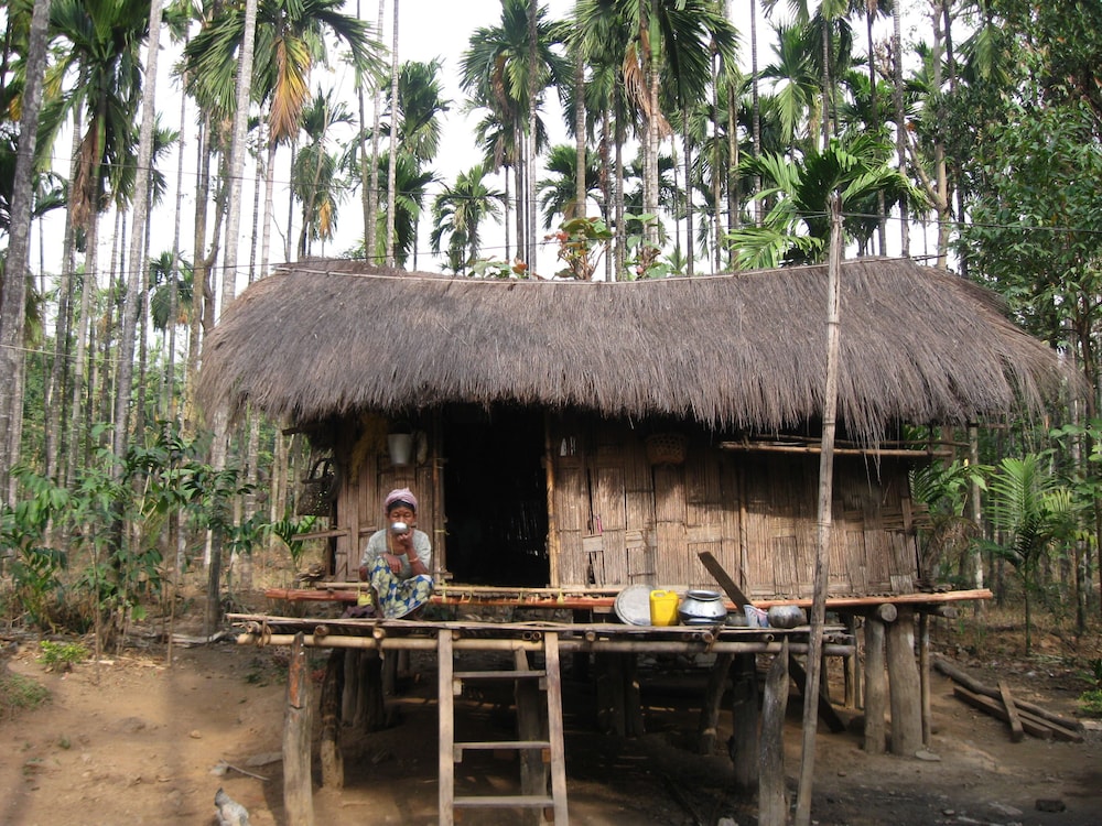 Photo 42