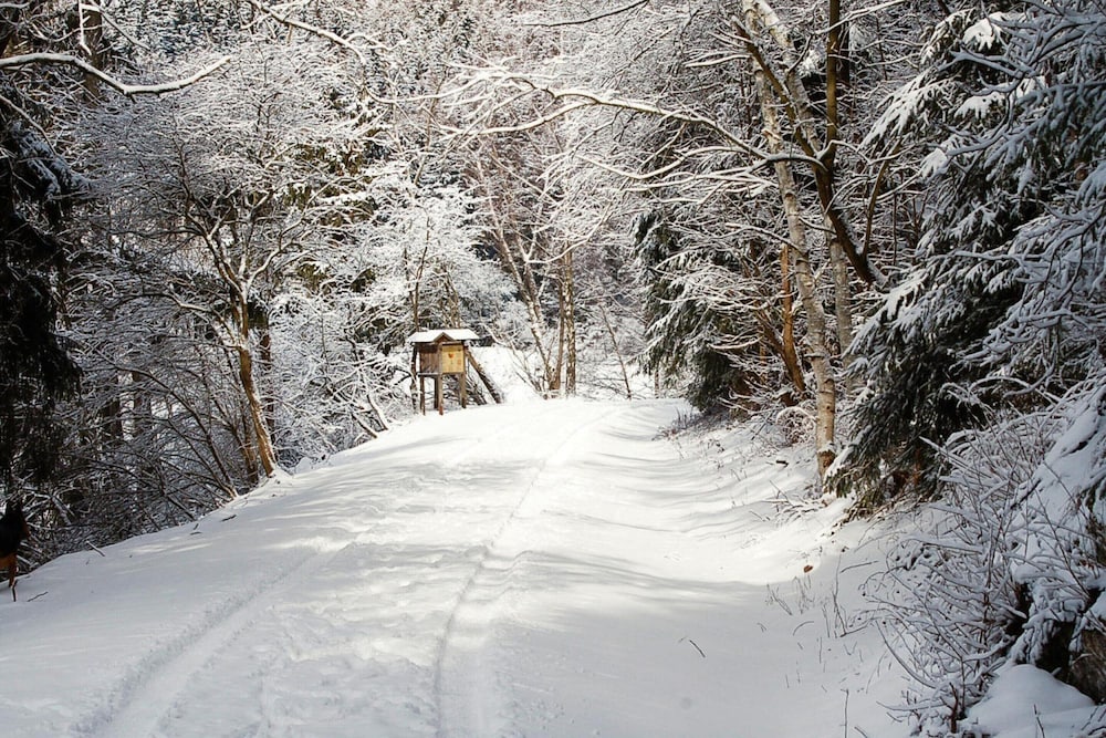 Log Cabin in Hasselfelde Near Harzer-hexen-stieg