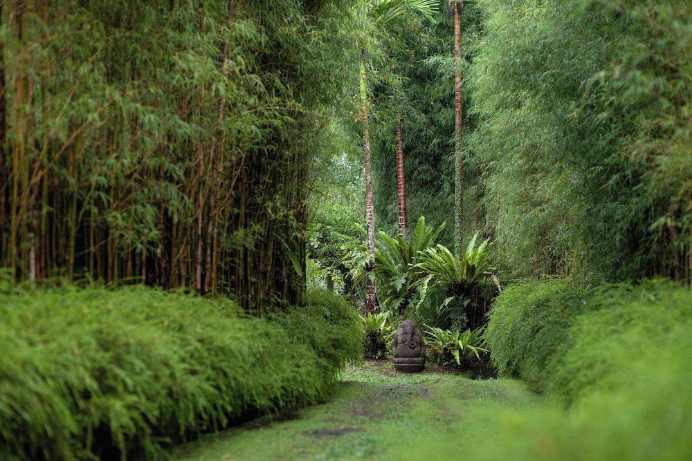 Rumah Hujan
