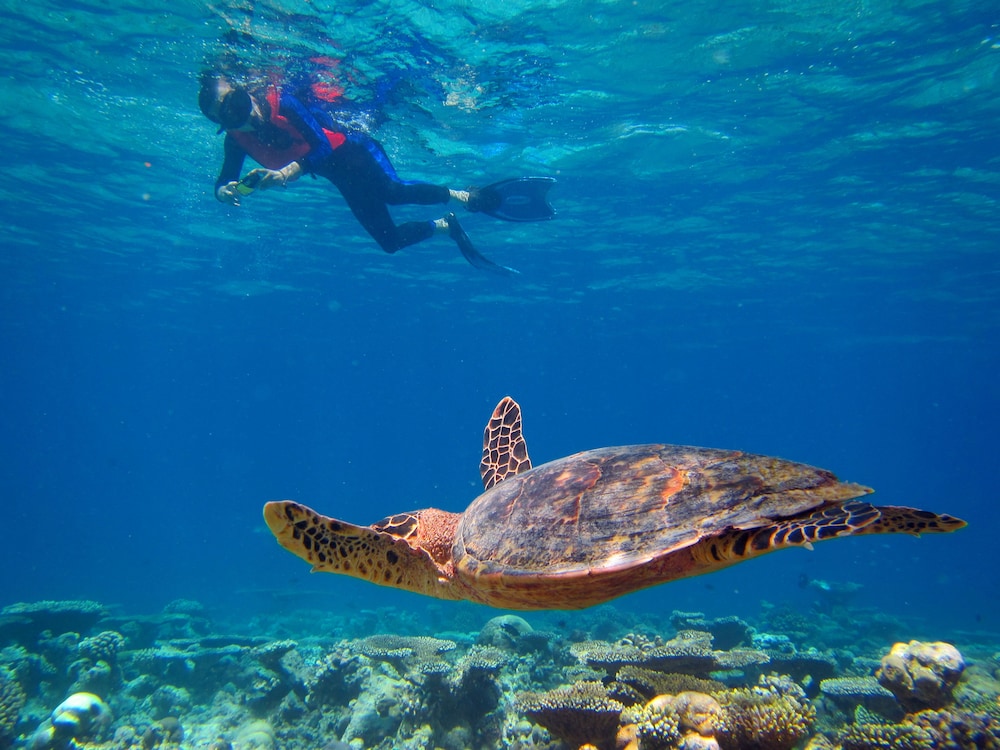 Kihaa Maldives