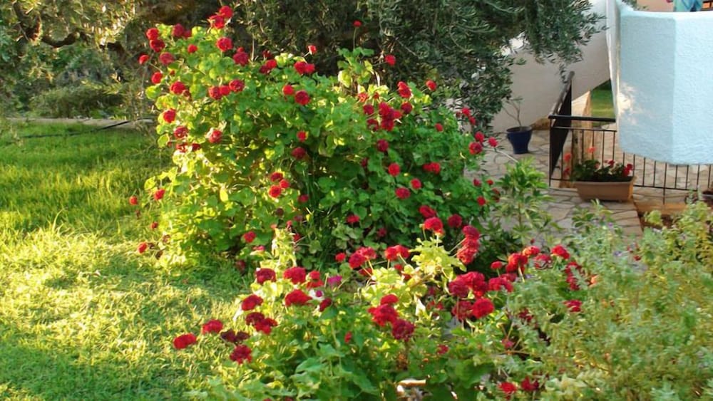 Koroni Village