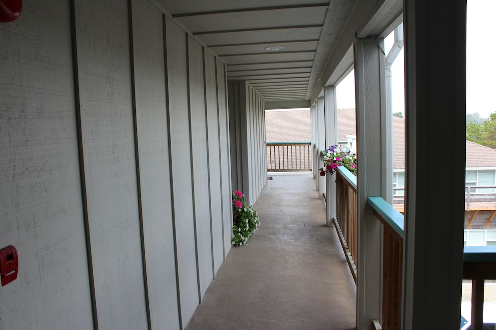 Photo 38