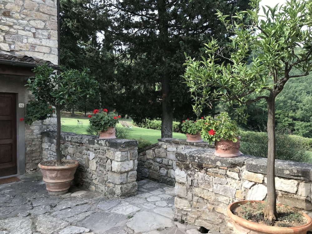 Photo 31